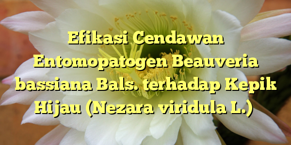 Efikasi Cendawan Entomopatogen Beauveria bassiana Bals. terhadap Kepik Hijau (Nezara viridula L.)