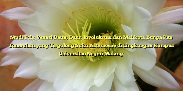 Studi Pola Venasi Daun, Daun Involukrum dan Mahkota Bunga Pita Tumbuhan yang Tergolong Suku Asteraceae di Lingkungan Kampus Universitas Negeri Malang