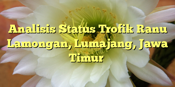 Analisis Status Trofik Ranu Lamongan, Lumajang, Jawa Timur