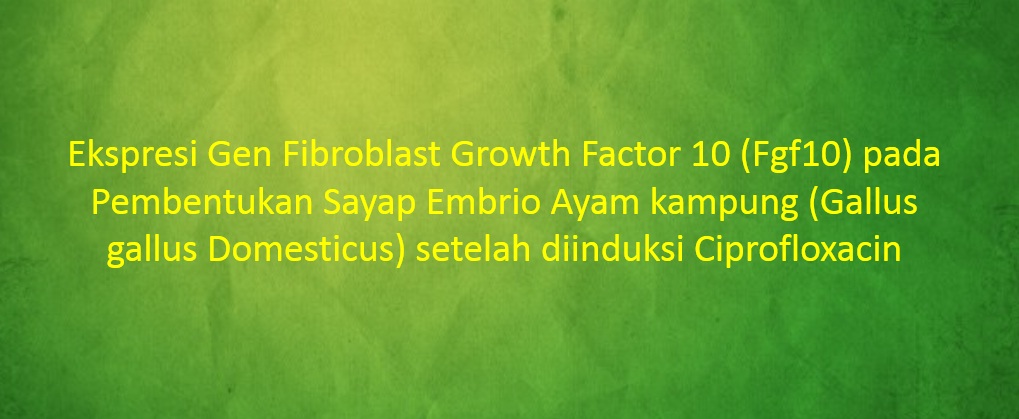 [SKRISPSI] Ekspresi Gen Fibroblast Growth Factor 10 (Fgf10) pada Pembentukan Sayap Embrio Ayam kampung (Gallus gallus Domesticus) setelah diinduksi Ciprofloxacin