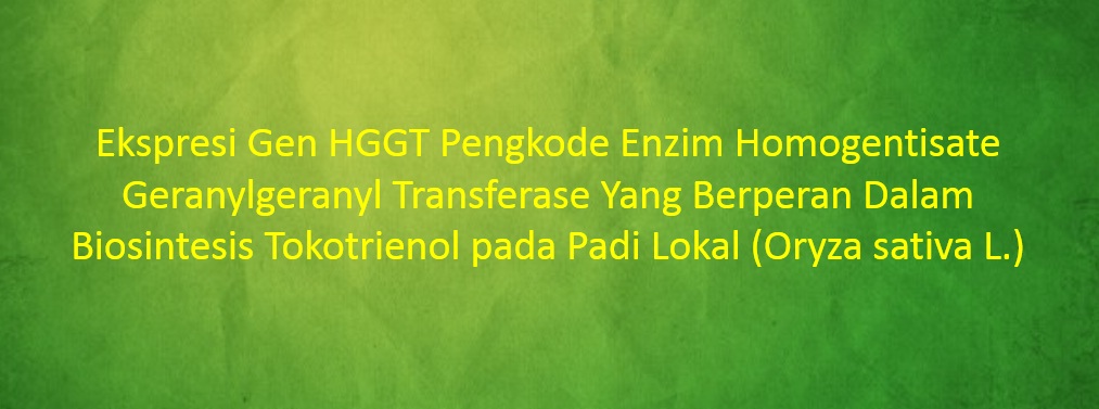 [SKRIPSI] Ekspresi Gen HGGT Pengkode Enzim Homogentisate Geranylgeranyl Transferase Yang Berperan Dalam Biosintesis Tokotrienol pada Padi Lokal (Oryza sativa L.)